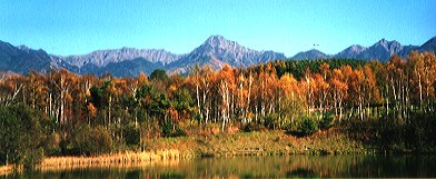 紅葉の八ヶ岳高原