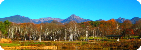 mont8